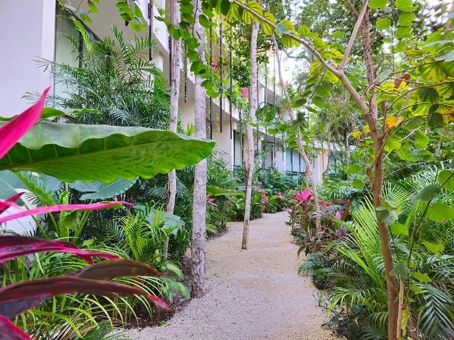 Cozy Aparment Pool View Apartment Tulum