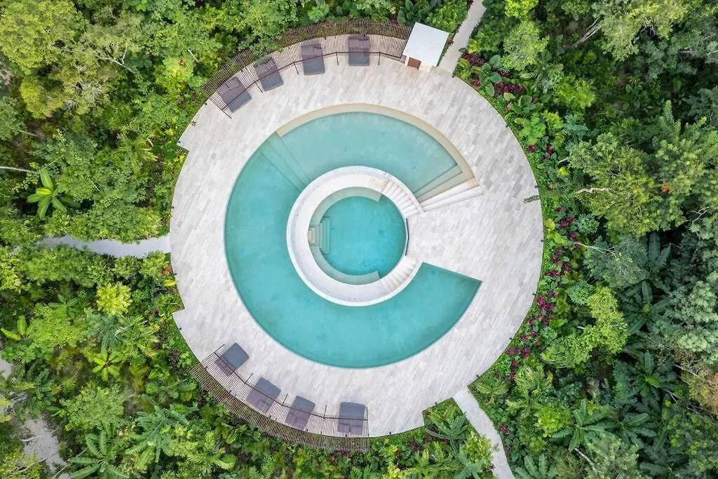 Cozy Aparment Pool View Apartment Tulum